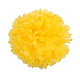 photo-2974191