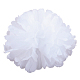 photo-2974316