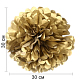 photo-2974542