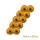 photo-2935694