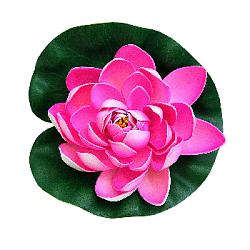 Лилия плавающая 18х18 см розовый